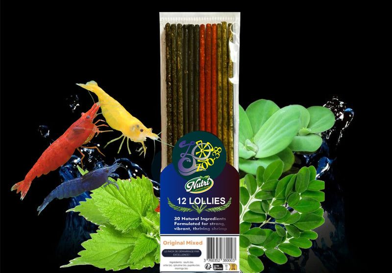 12 Shrimp food LARGE lollies Artemia Insect and Organic Food Sticks