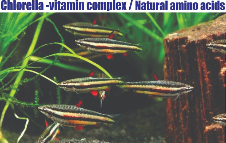 Fish Protein & Vitamins Complex Micro Granules 1,0 mm TROPICAL FISH FOOD