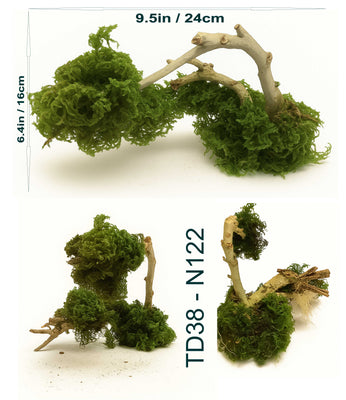 Natural Moss & Willow Decor – Loved by Fish, Shrimp & Reptiles - Image 6