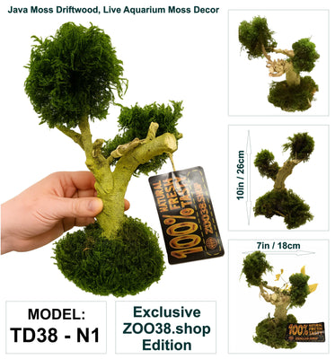 Natural Moss & Willow Decor – Loved by Fish, Shrimp & Reptiles - Image 12