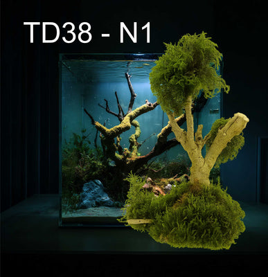 Natural Moss & Willow Decor – Loved by Fish, Shrimp & Reptiles - Image 1
